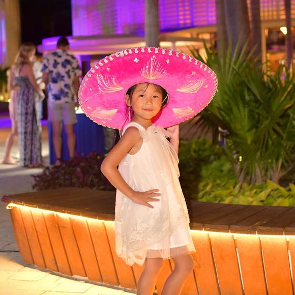 EUC Blink Blank Shiffon dress for girl 4-5 years - Picture 5 of 5